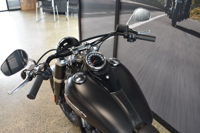2018 HARLEY-DAVIDSON FLSL SLIM (107)