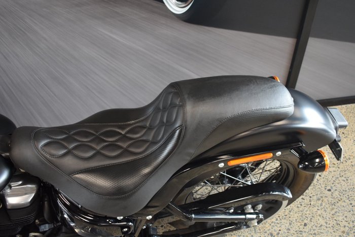 2018 HARLEY-DAVIDSON FLSL SLIM (107)