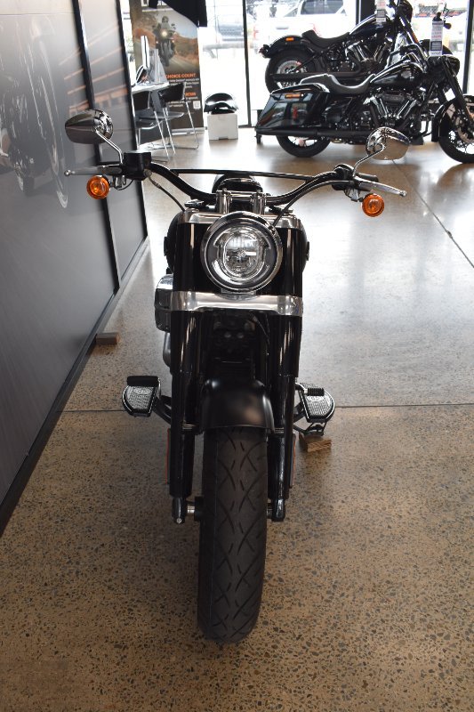 2018 HARLEY-DAVIDSON FLSL SLIM (107)