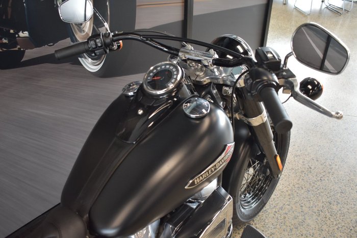 2018 HARLEY-DAVIDSON FLSL SLIM (107)