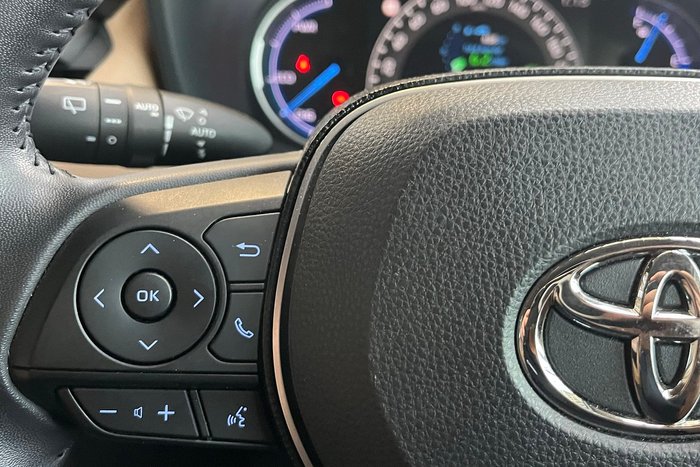 2020 Toyota RAV4 Cruiser