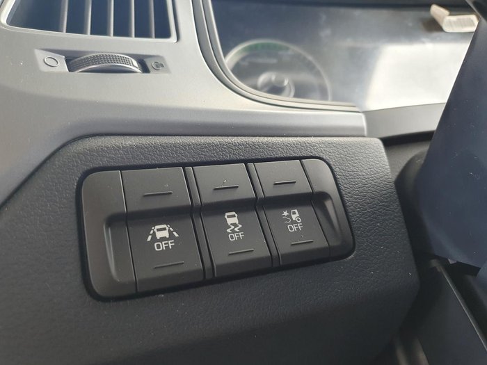 2023 Hyundai Pavise D115