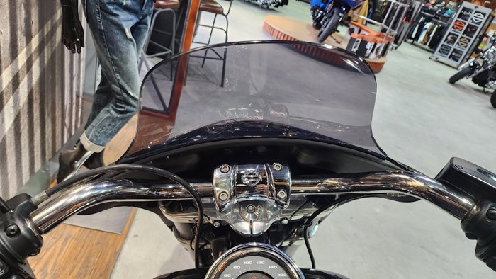 2018 HARLEY-DAVIDSON FLSB SOFTAIL SPORT GLIDE