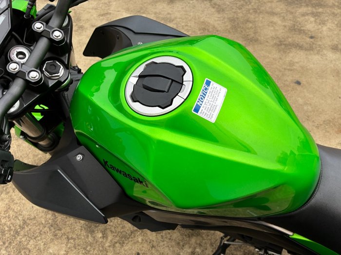 2025 Kawasaki Z500 Green