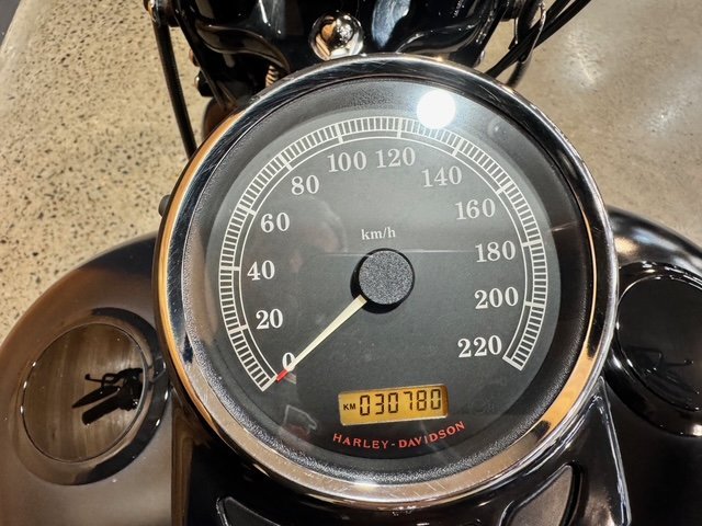 2009 HARLEY-DAVIDSON FLSTSB SOFTAIL CROSS BONES