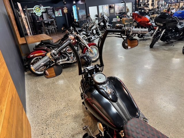 2009 HARLEY-DAVIDSON FLSTSB SOFTAIL CROSS BONES