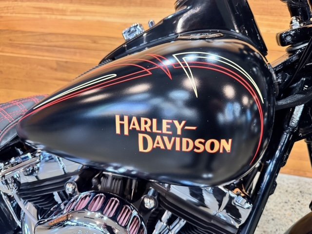 2009 HARLEY-DAVIDSON FLSTSB SOFTAIL CROSS BONES