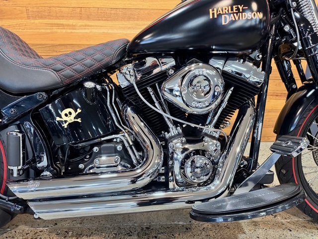 2009 HARLEY-DAVIDSON FLSTSB SOFTAIL CROSS BONES