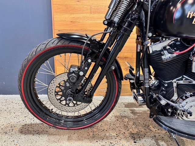 2009 HARLEY-DAVIDSON FLSTSB SOFTAIL CROSS BONES