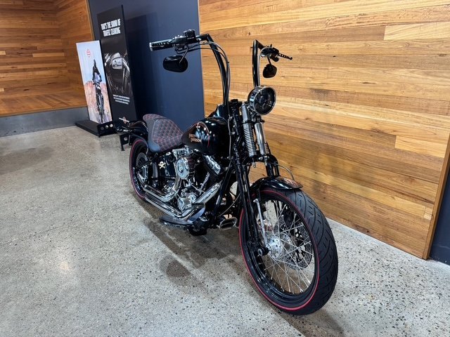 2009 HARLEY-DAVIDSON FLSTSB SOFTAIL CROSS BONES