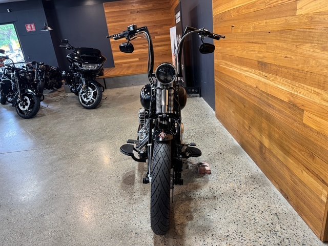 2009 HARLEY-DAVIDSON FLSTSB SOFTAIL CROSS BONES