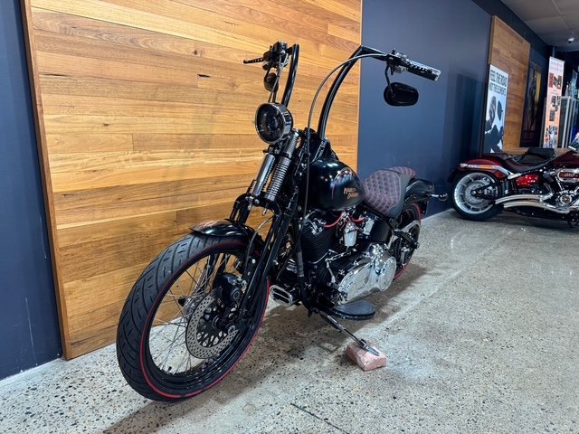 2009 HARLEY-DAVIDSON FLSTSB SOFTAIL CROSS BONES