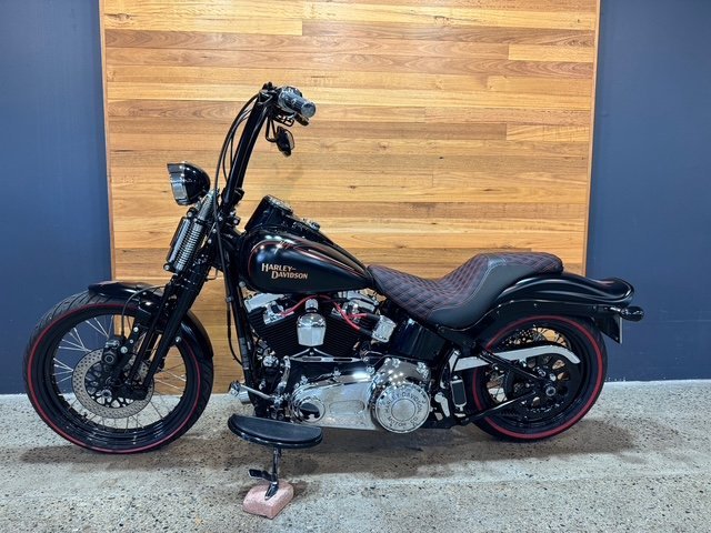 2009 HARLEY-DAVIDSON FLSTSB SOFTAIL CROSS BONES
