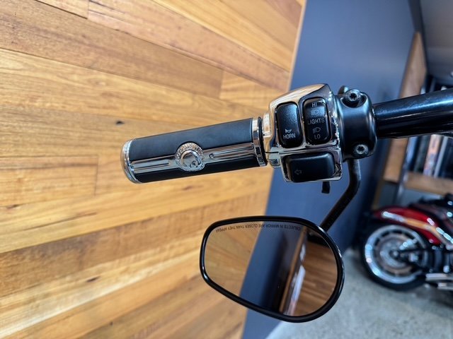 2009 HARLEY-DAVIDSON FLSTSB SOFTAIL CROSS BONES