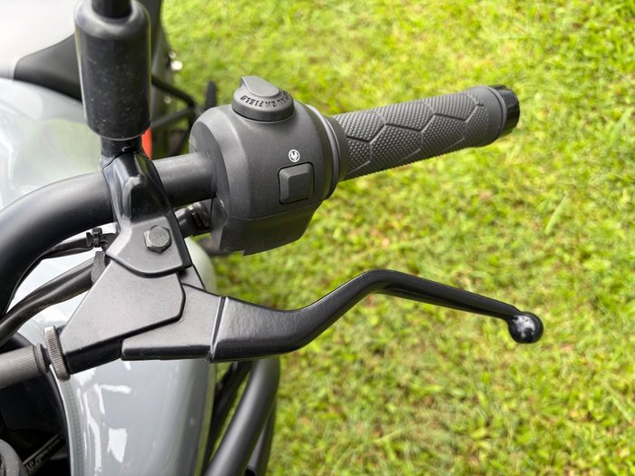 2024 Royal Enfield HIMALAYAN 450 grey