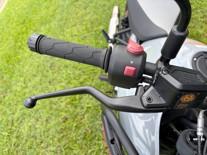 2024 Royal Enfield HIMALAYAN 450 grey