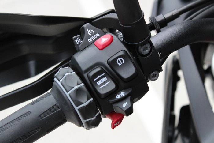 2025 BMW F 900 GS Enduro