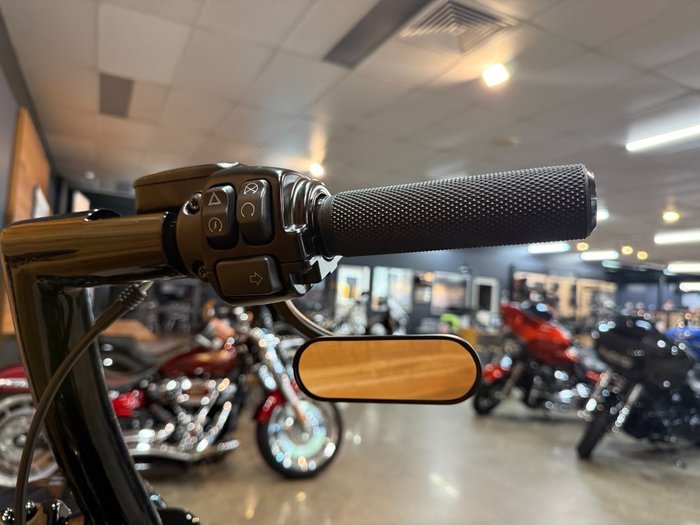 2019 HARLEY-DAVIDSON FLFBS FAT BOY S (114) (CUST)