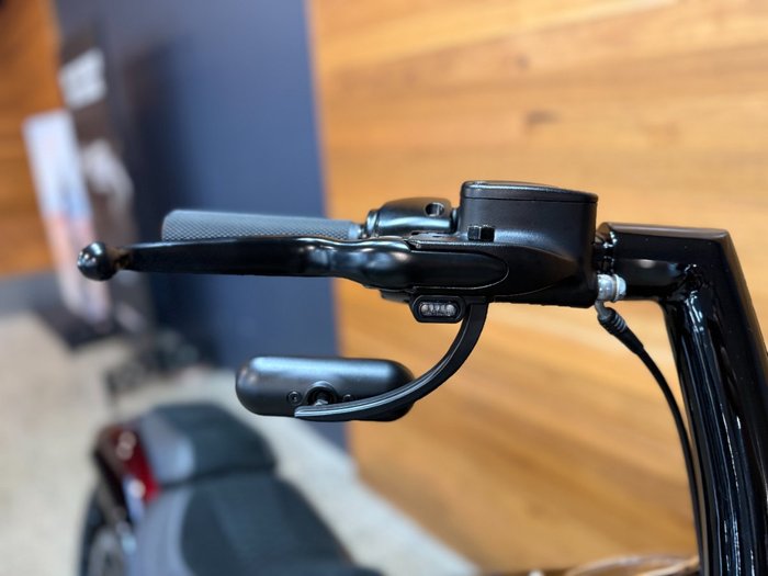 2019 HARLEY-DAVIDSON FLFBS FAT BOY S (114) (CUST)