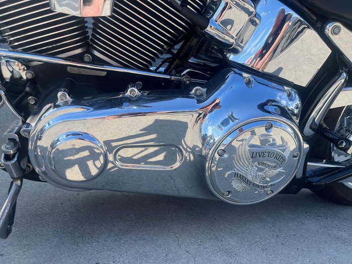 2009 Harley-Davidson Softail Custom 1584 (FXSTC) Softail Black