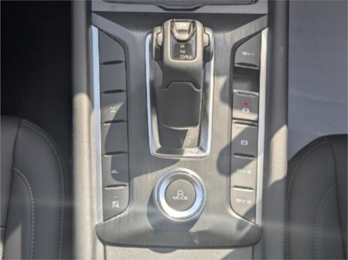 2025 GWM CANNON VANTA (4x4)