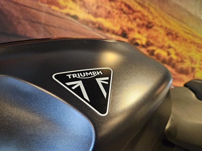 2024 Triumph Daytona 660 LAMS Daytona