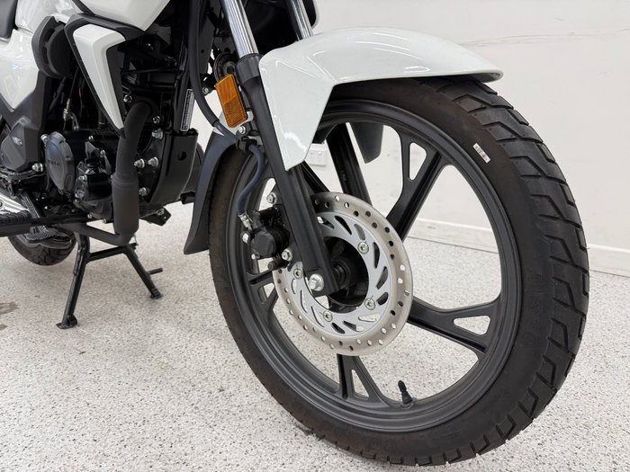 2024 Honda CB125F (CBF125) White