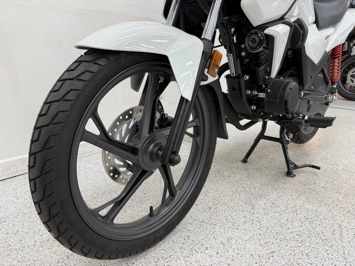 2024 Honda CB125F (CBF125) White