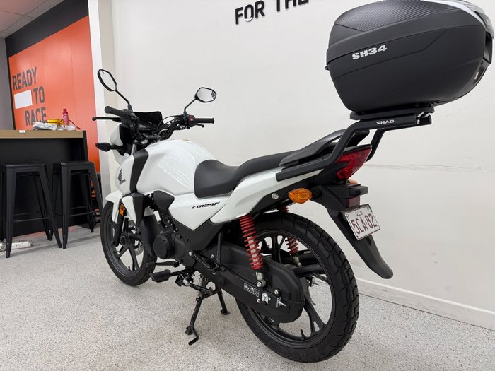 2024 Honda CB125F (CBF125) White