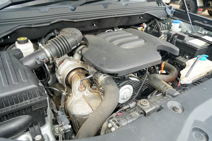 2022 GWM Ute Cannon-X