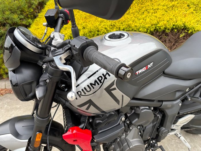 2023 Triumph TRIDENT 660 Grey