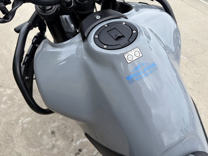 2024 Royal Enfield HIMALAYAN 450 Grey