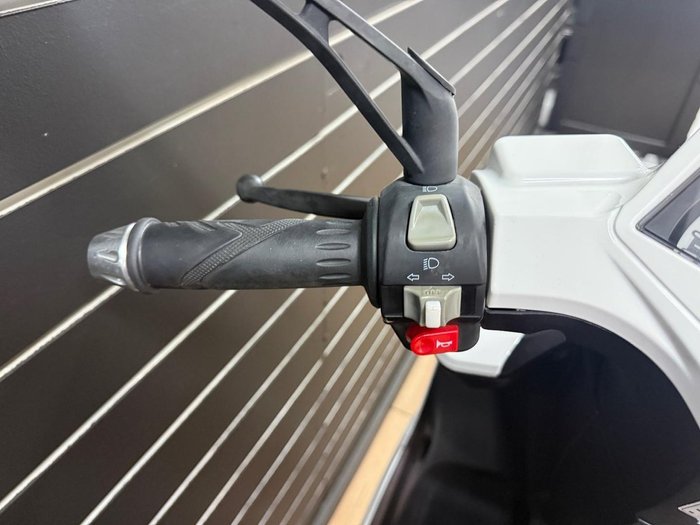 2023 PISTA 125 White