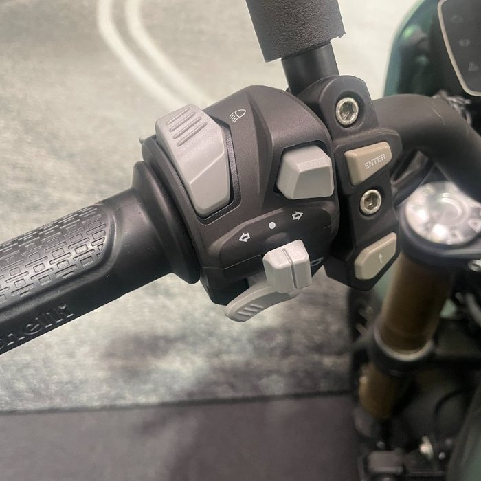 2022 Benelli LEONCINO 800 Green