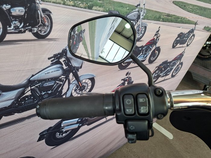 2019 HARLEY-DAVIDSON FLSB SPORT GLIDE