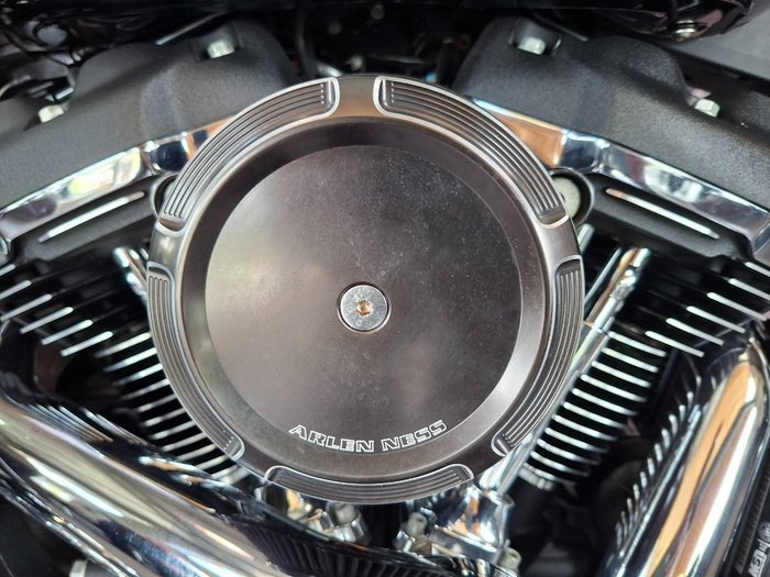 2019 HARLEY-DAVIDSON FLSB SPORT GLIDE