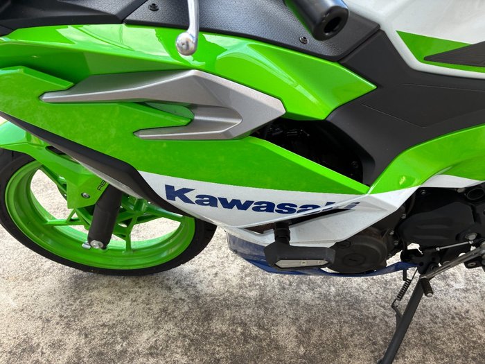 2024 Kawasaki NINJA 500 ANNIVERSARY Green