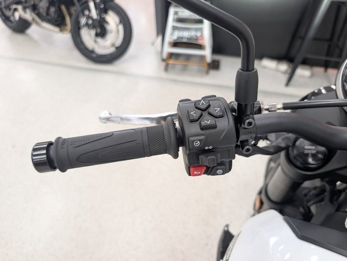 2026 Triumph 2026 Triumph 660CC Trident LAMS White