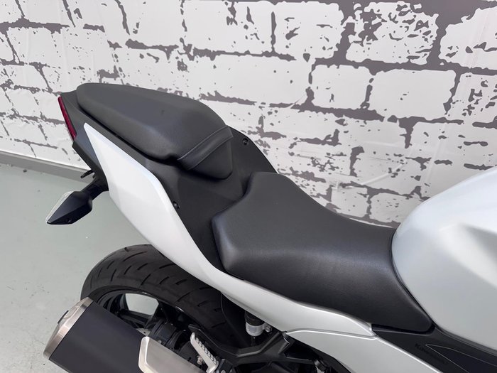 2025 Kawasaki Ninja 500 (EX500G) Ninja White