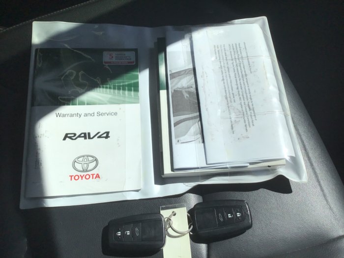 2020 Toyota RAV4 Cruiser