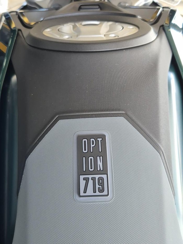 2025 BMW R 1300 GS Option 719 R 1300 Green