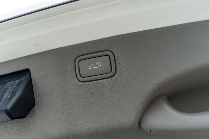 2017 Kia Carnival Platinum