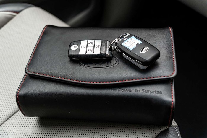 2017 Kia Carnival Platinum