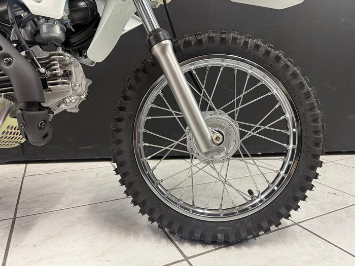 2026 Kawasaki KLX110DTFNN White