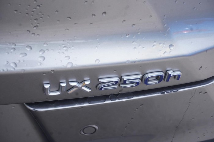 2019 Lexus UX 250h F Sport