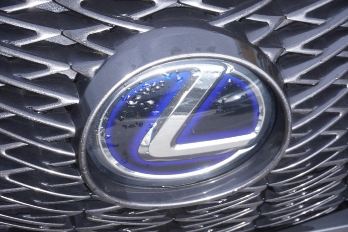 2019 Lexus UX 250h F Sport