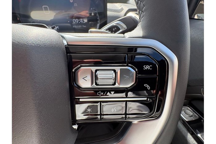 2025 LDV Terron 9 Origin