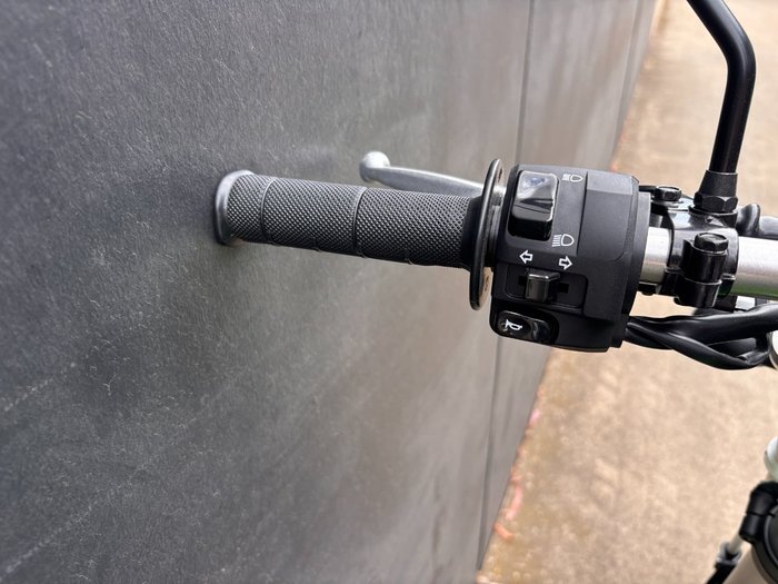 2025 Kawasaki KLX250 GREEN