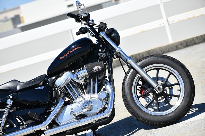 2010 Harley-Davidson Sportster 883 Low (XL883L)