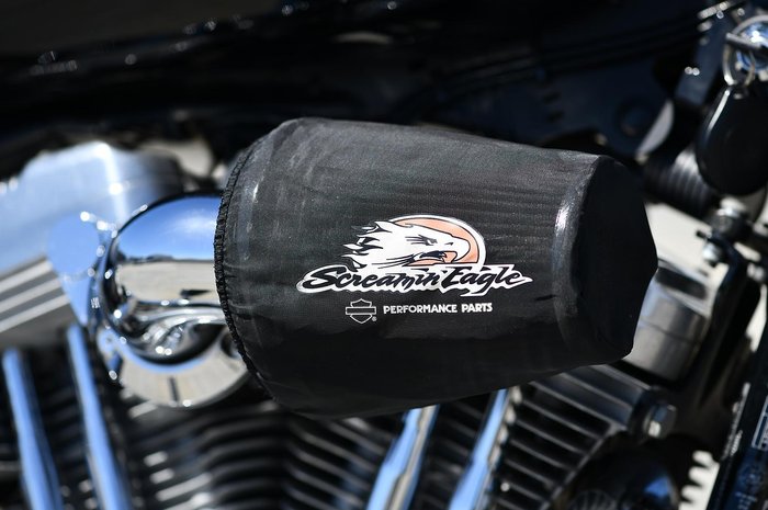 2010 Harley-Davidson Sportster 883 Low (XL883L)